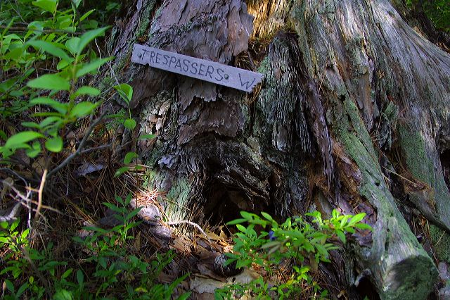 trespassers_w.jpg
