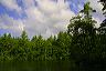 lilly_bay