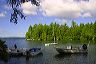 the_harbor