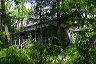 the_house